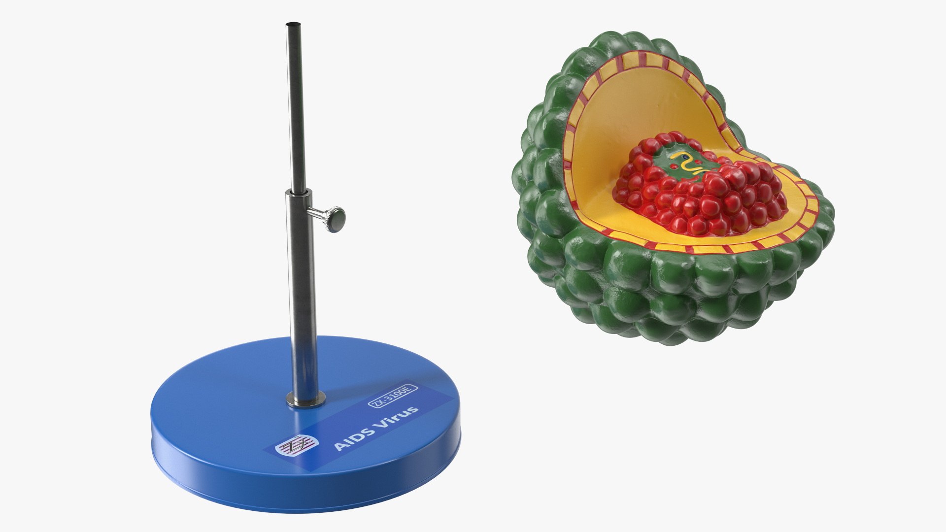 HIV Virus Educational Model On Metal Stand 3D - TurboSquid 2409932
