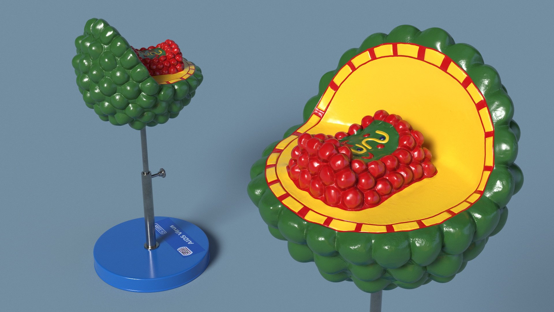 HIV Virus Educational Model On Metal Stand 3D - TurboSquid 2409932