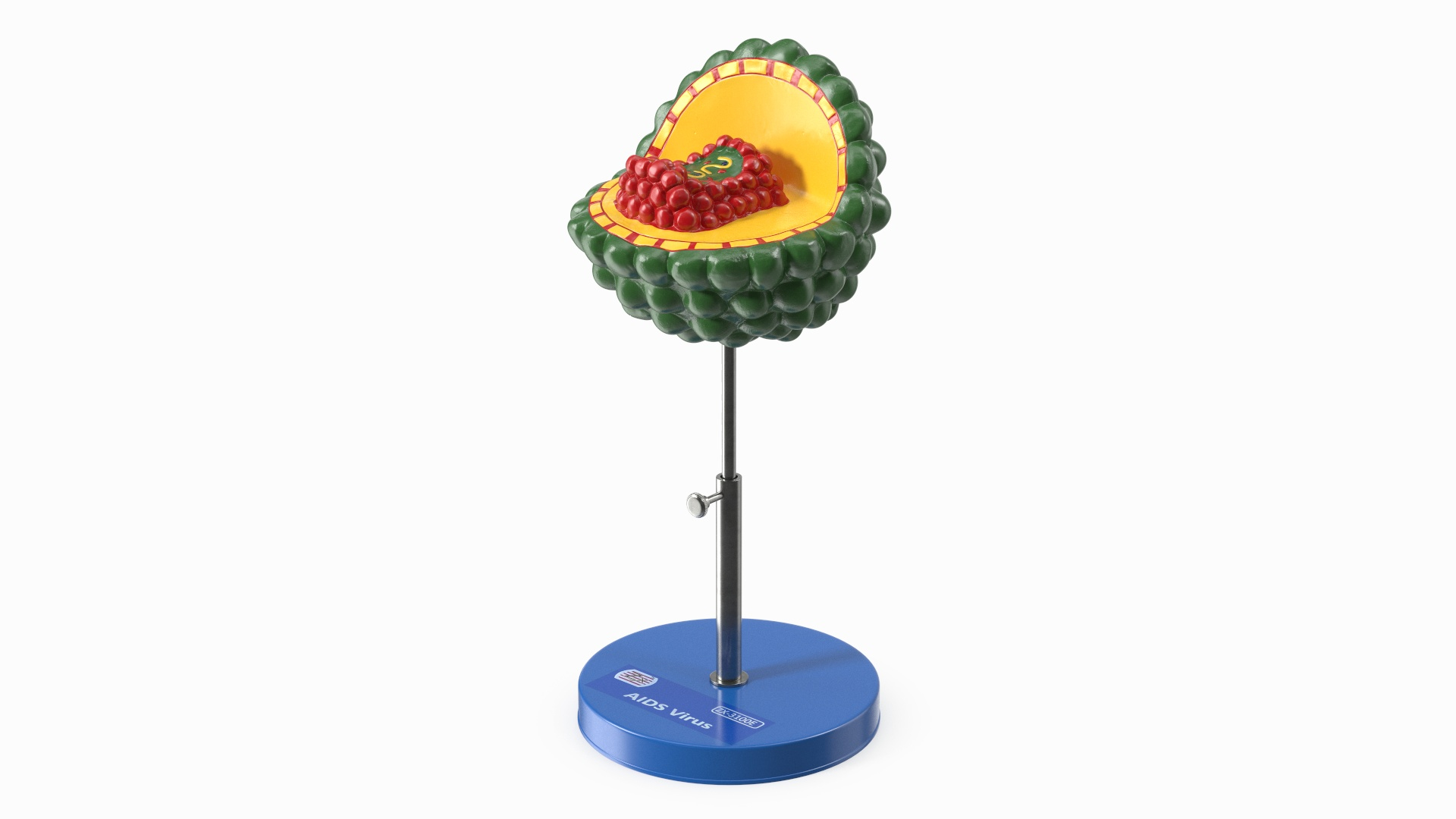 HIV Virus Educational Model On Metal Stand 3D - TurboSquid 2409932
