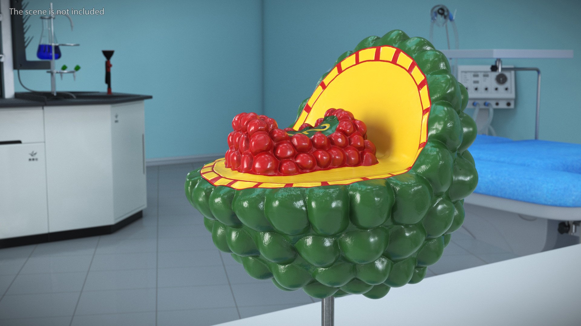 HIV Virus Educational Model On Metal Stand 3D - TurboSquid 2409932