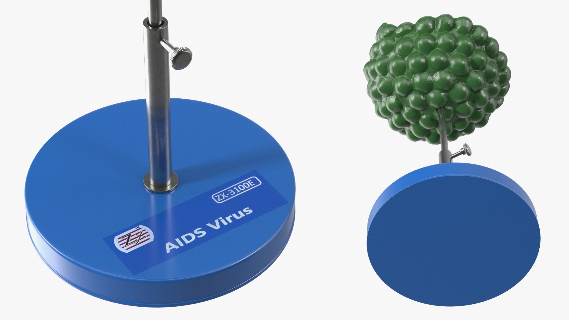 HIV Virus Educational Model On Metal Stand 3D - TurboSquid 2409932