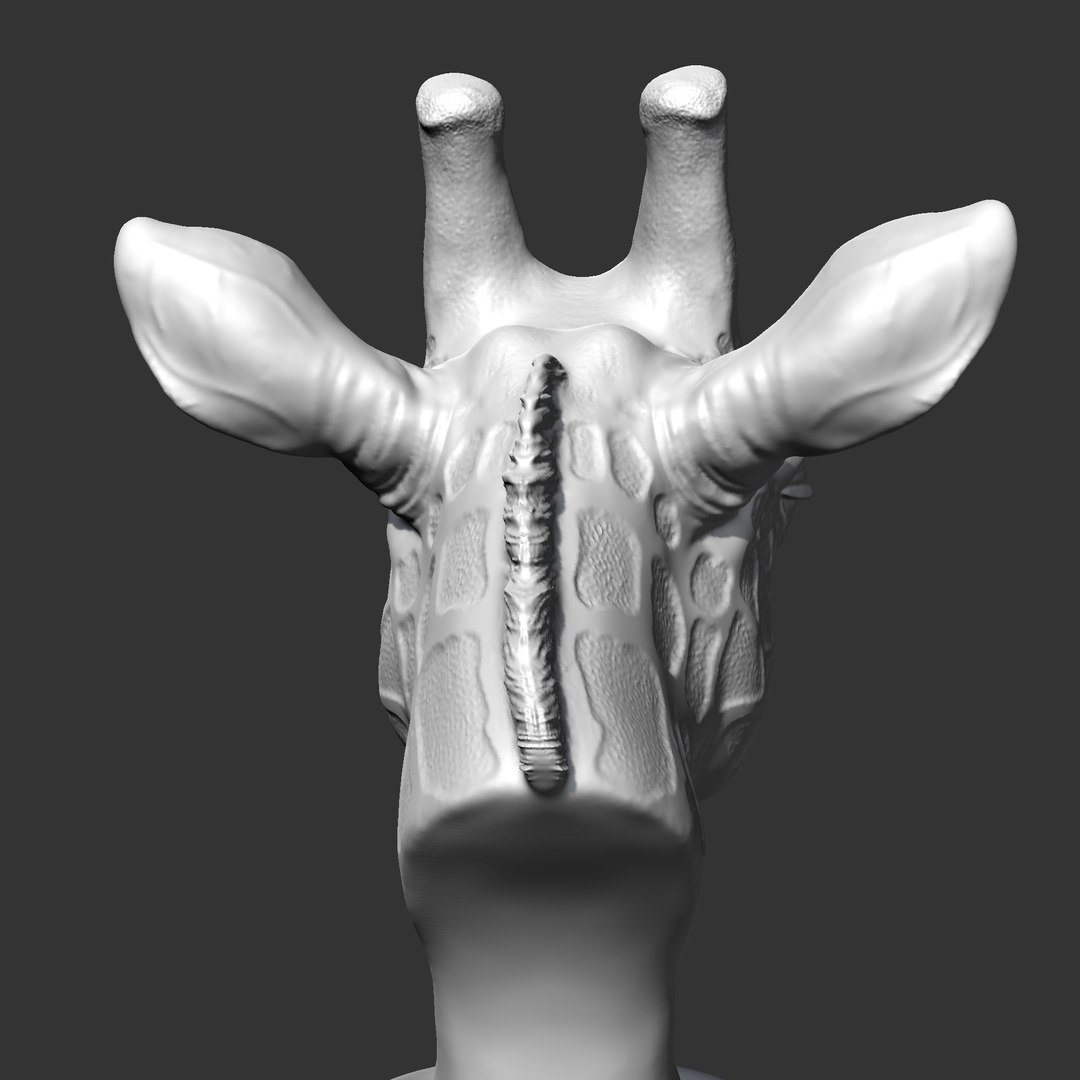 Giraffe Head AM13 3D print model 3D model https://p.turbosquid.com/ts-thumb/2l/1Oux9N/F6/09/png/1684123956/1920x1080/fit_q87/95f5ff468620a26630b46a863d3cfc13dd318da7/09.jpg