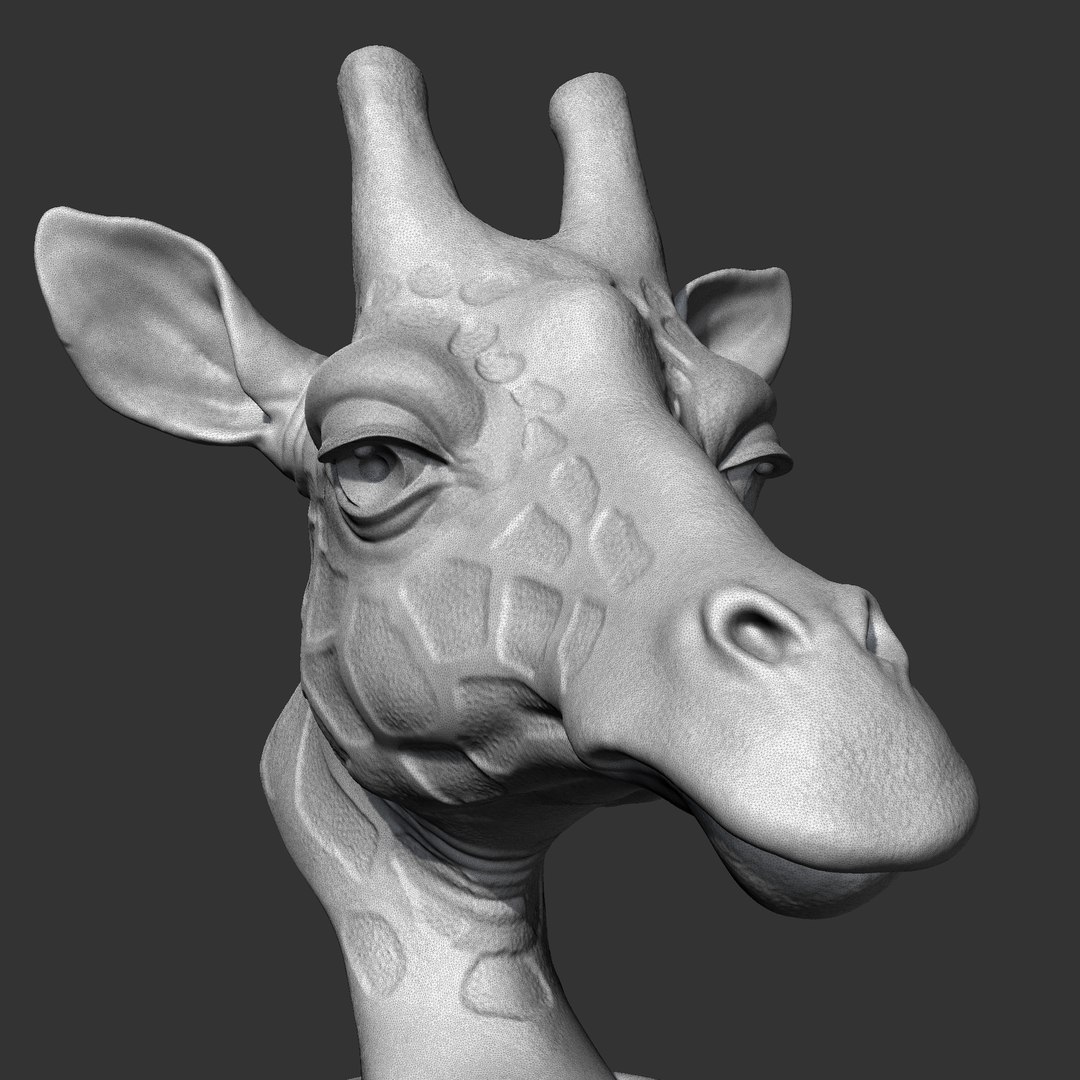 Giraffe Head AM13 3D print model 3D model https://p.turbosquid.com/ts-thumb/2l/1Oux9N/MP/wire_01/png/1684123984/1920x1080/fit_q87/faa5acb06285e13e97da17ddc0877659d7d32f13/wire_01.jpg