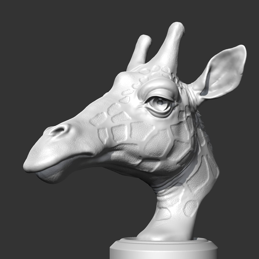Giraffe Head AM13 3D print model 3D model https://p.turbosquid.com/ts-thumb/2l/1Oux9N/gb/06/png/1684123942/1920x1080/fit_q87/1e7e22ed5135e71b5f80e9907dbbae99902c9fe3/06.jpg