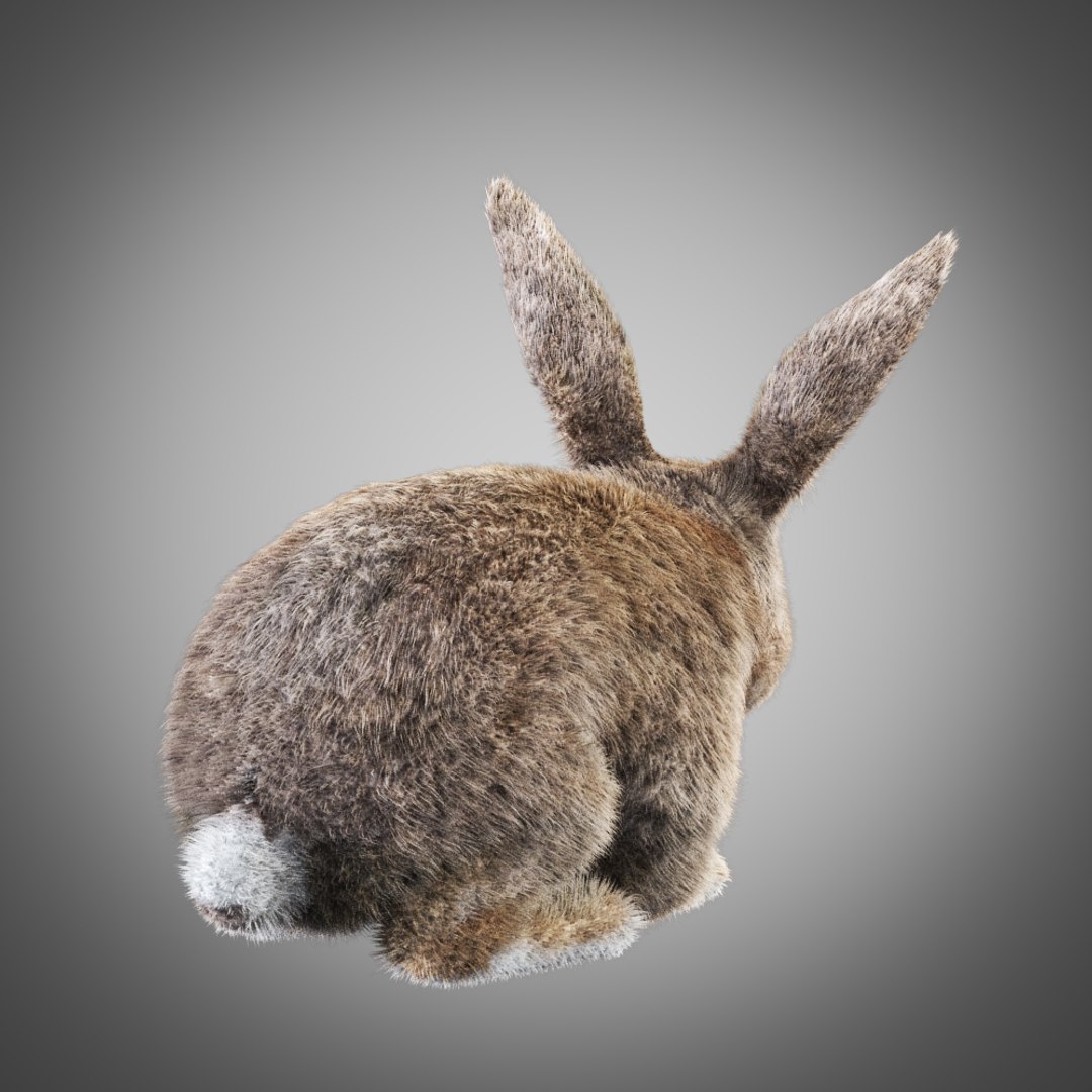 3d model rabbit fur https://p.turbosquid.com/ts-thumb/2l/5D65qQ/HLp4n9CJ/5/jpg/1456070646/1920x1080/fit_q87/a946d3973ea30853124d950b1c230776f5b007ee/5.jpg