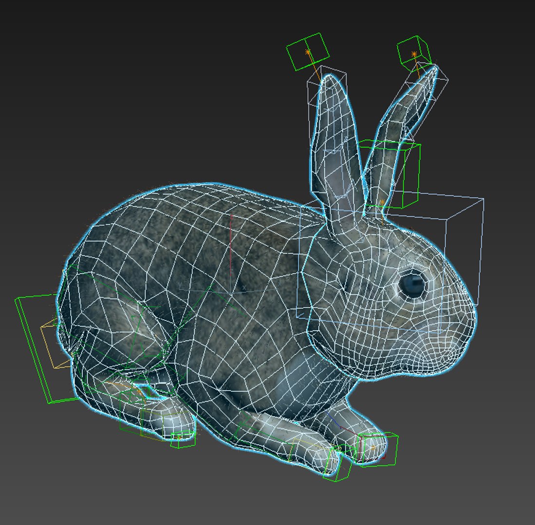 3d Model Rabbit Fur