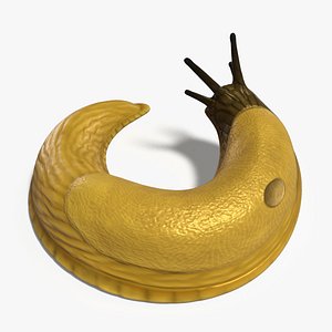Banana slug 3D model