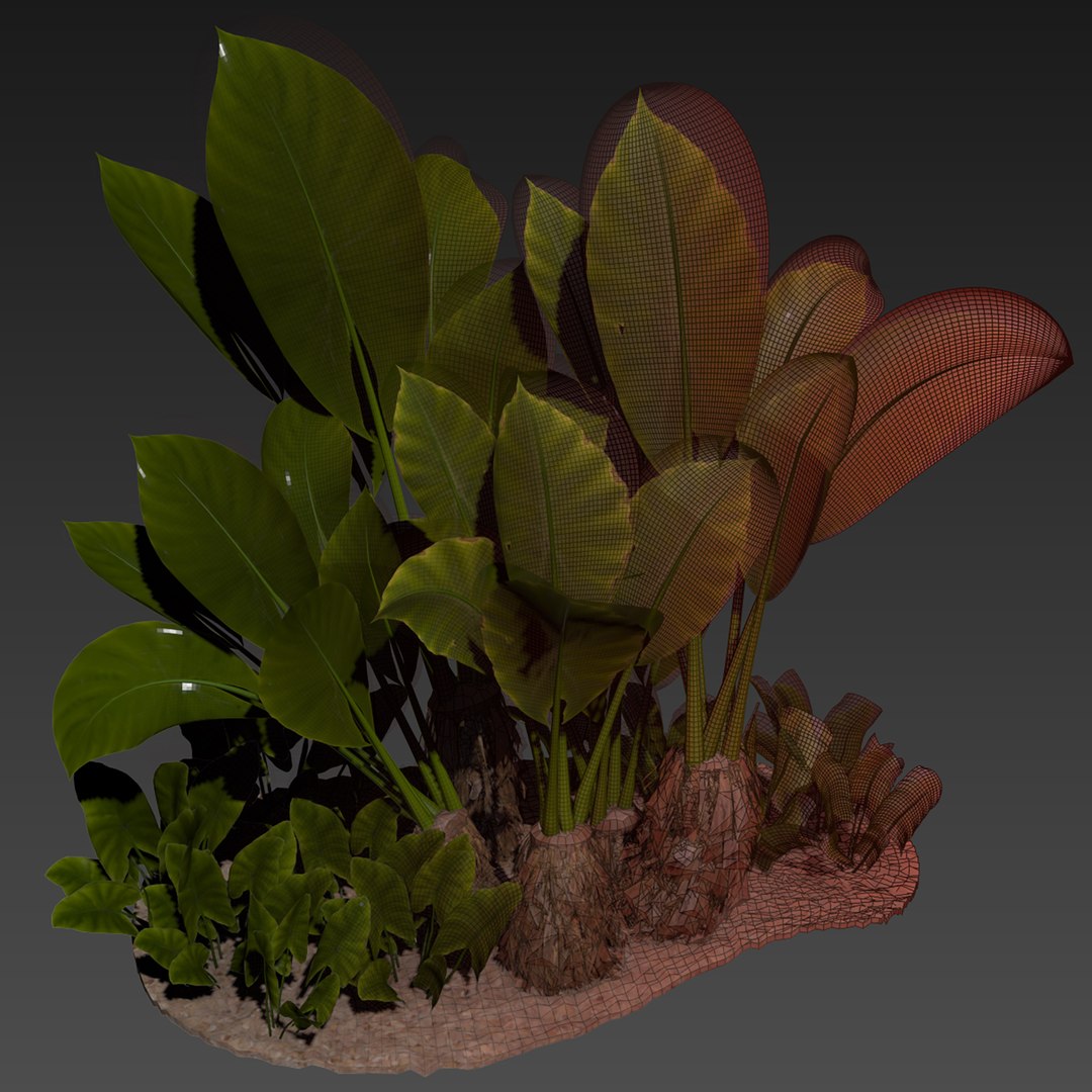 Collection plant vol 555 - Alocasia - Macrorrhizos - gian - taro 3D model https://p.turbosquid.com/ts-thumb/2l/H68XyE/lQ/6/jpg/1705808551/1920x1080/fit_q87/b531d8643b65fcda132a859a0e3d1240075464af/6.jpg