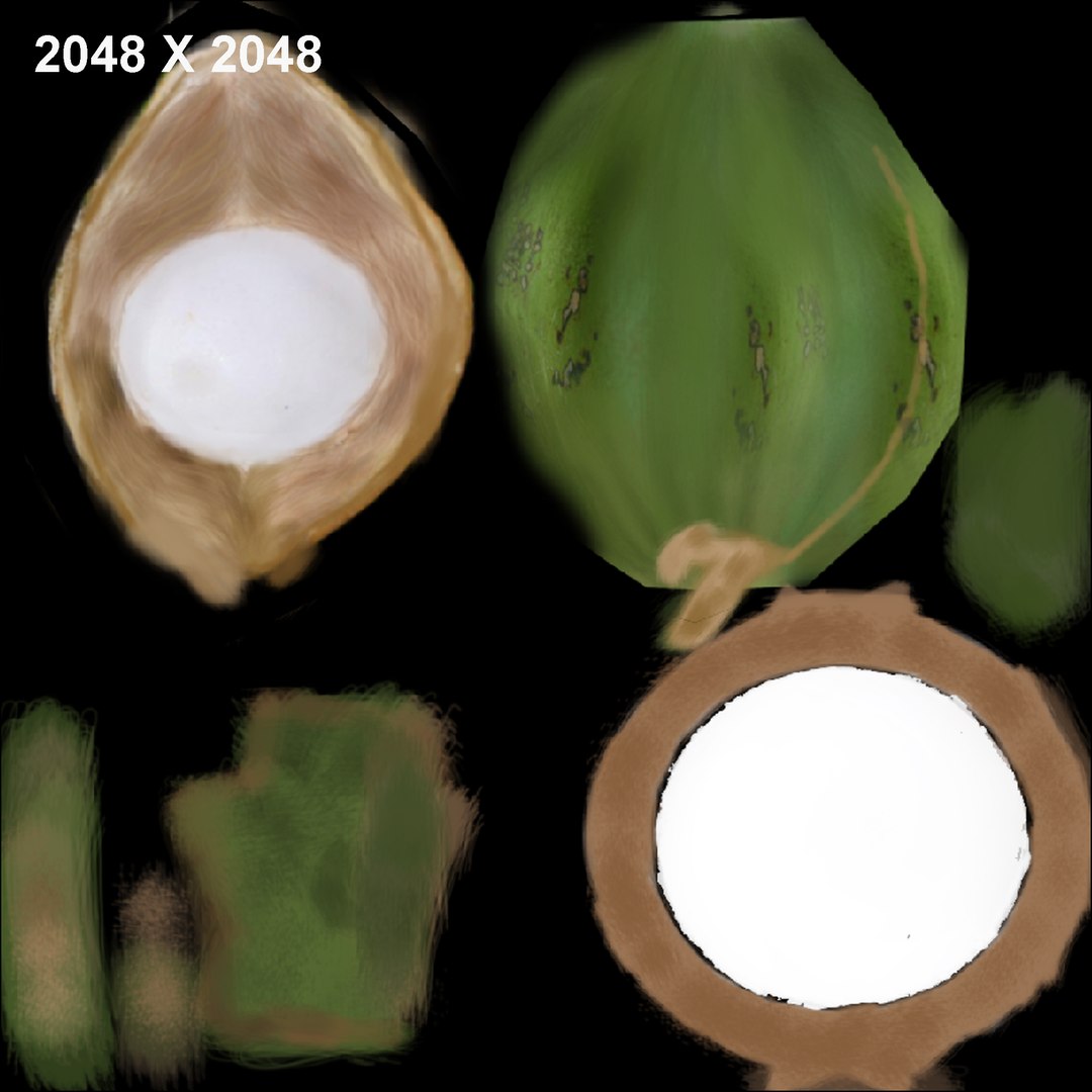 Coconut Cocos 3d Obj