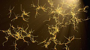 6 neurons pack