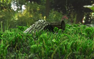 3D wooden grass forest