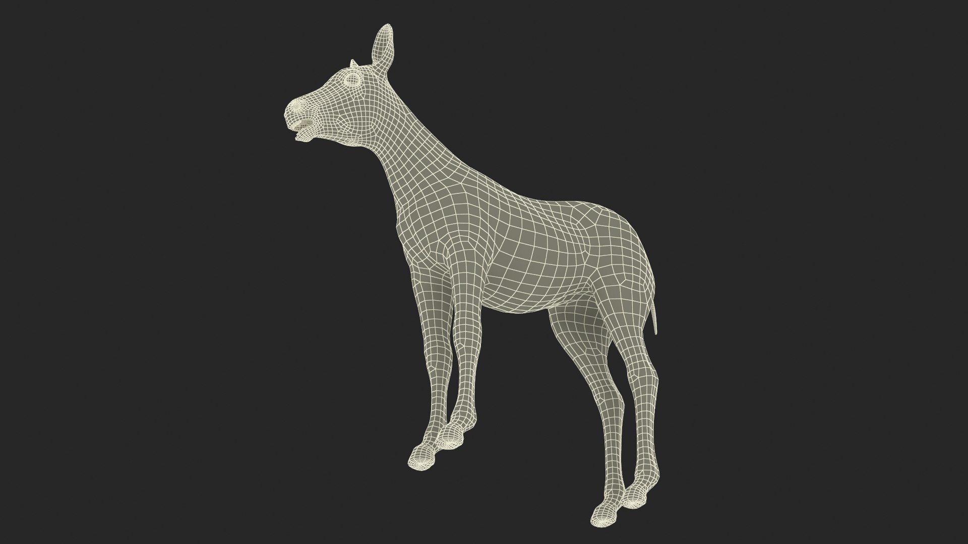 3D Young Zebra Rigged Model - TurboSquid 2366244