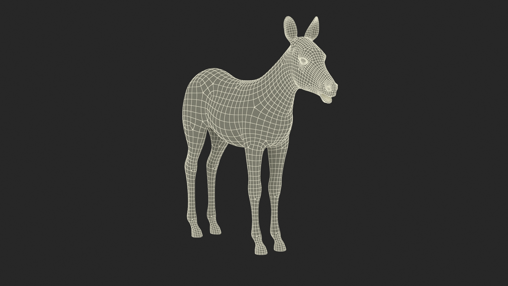 3D Young Zebra Rigged Model - TurboSquid 2366244
