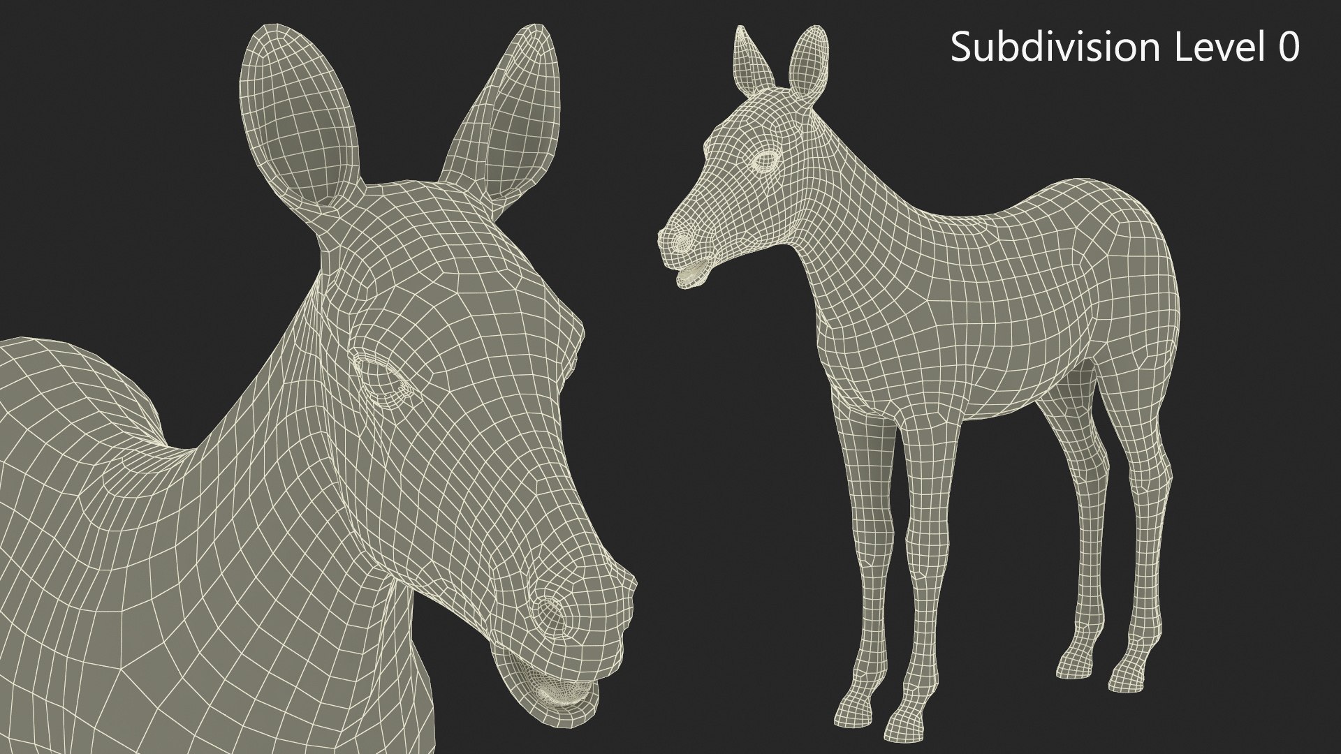 3D Young Zebra Rigged Model - TurboSquid 2366244