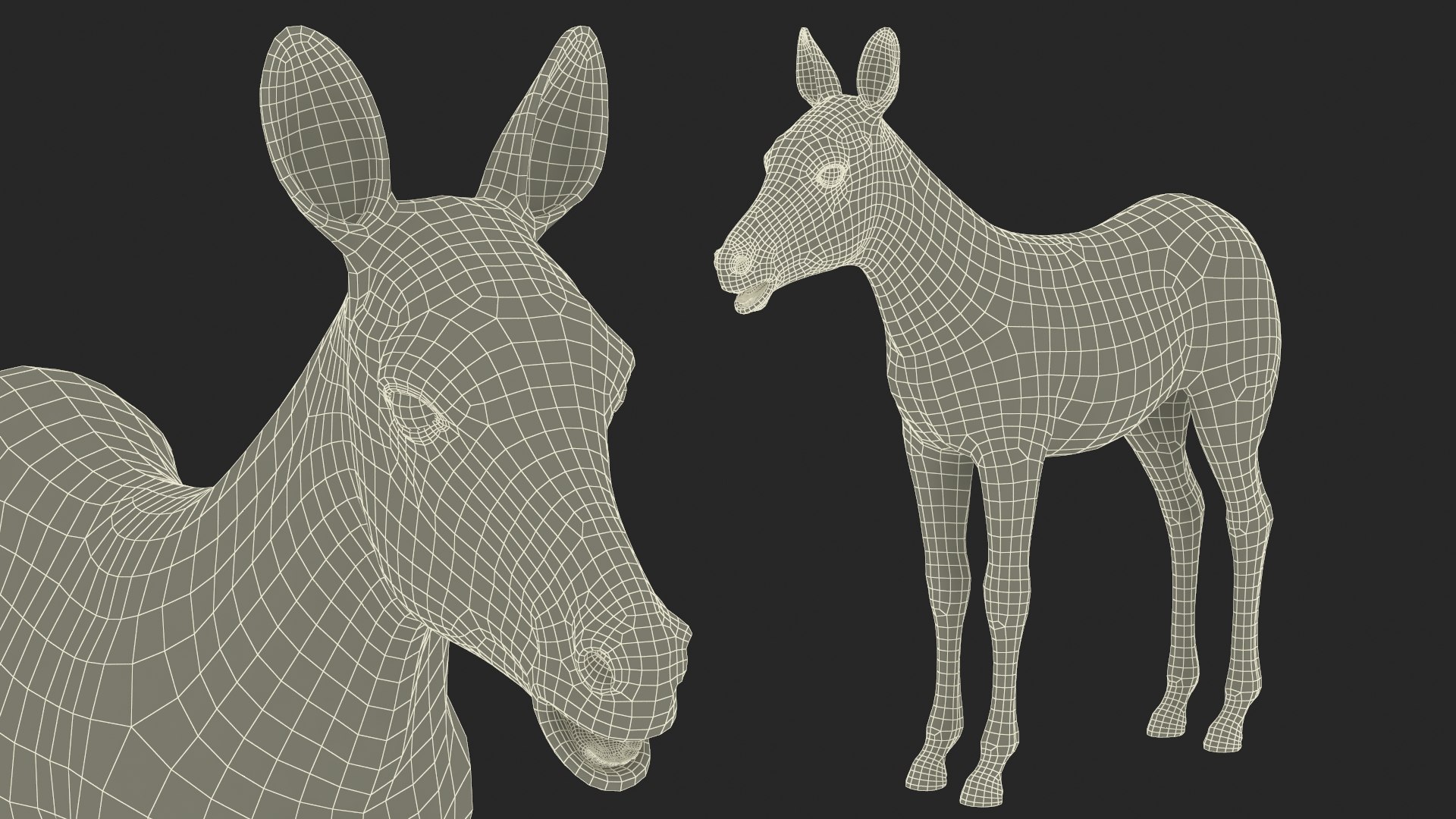 3D Young Zebra Rigged Model - TurboSquid 2366244