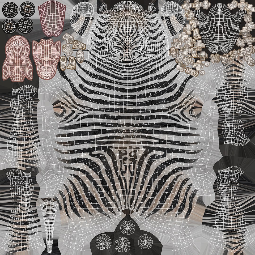 3D Young Zebra Rigged Model - TurboSquid 2366244