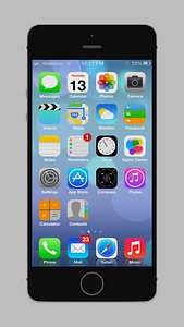 Iphone 5S gray