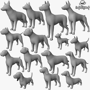 Dogs Collection