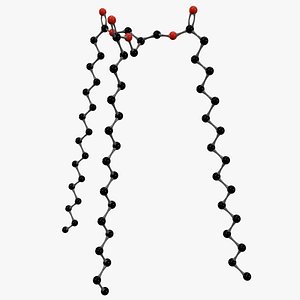 3D Triacylglycerol Molecule
