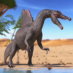 3D Spinosaurus Rigged