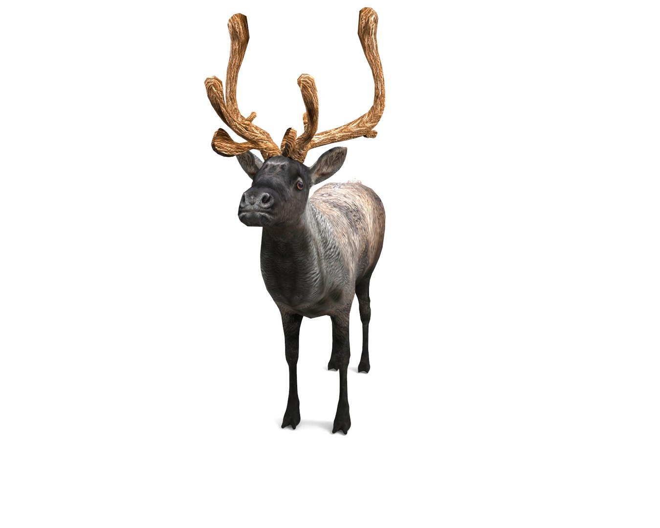 reindeer rigged deer animation 3D model https://p.turbosquid.com/ts-thumb/2m/bFwVzU/ZgEK9nSi/untitled.165/jpg/1506512527/1920x1080/fit_q87/a16ab5910ab5c6a62acc2910e1a84d72d47feb38/untitled.165.jpg
