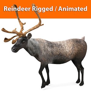 reindeer rigged animated model