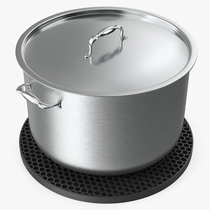 3D model Stainless Steel Pot on Heat-Resistant Silicone Mat