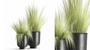 Grass in a Flowerpot for the interior 1004 3D