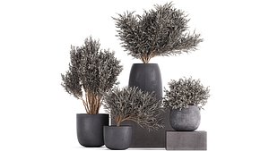 3D flower pot trees