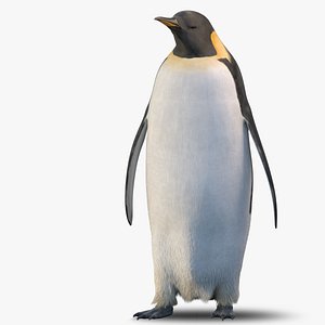 adult emperor penguin rigged max