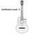 High Quality Guitar Collection