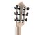 High Quality Guitar Collection