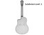 High Quality Guitar Collection