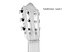 High Quality Guitar Collection