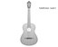 High Quality Guitar Collection
