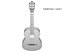 High Quality Guitar Collection