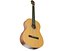 High Quality Guitar Collection