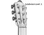 High Quality Guitar Collection