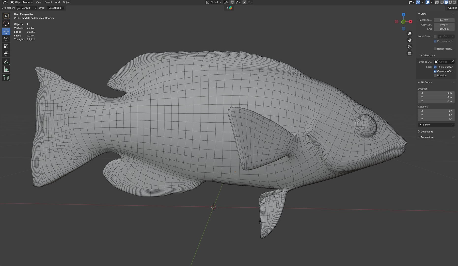 3D Saddleback Hogfish https://p.turbosquid.com/ts-thumb/2n/WR9wjJ/8w/wire/jpg/1776260994/1920x1080/fit_q87/49efad59670ea814d4f751f7ca61b19084c41ec1/wire.jpg