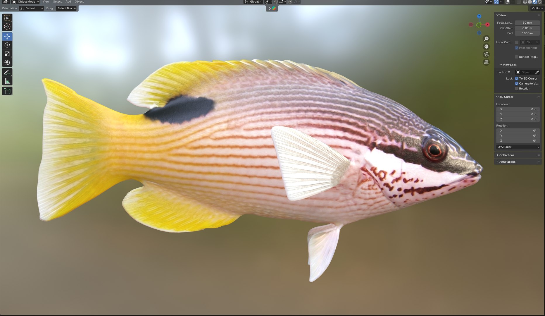 3D Saddleback Hogfish https://p.turbosquid.com/ts-thumb/2n/WR9wjJ/9f/6/jpg/1776260994/1920x1080/fit_q87/840b44193c4c9b33e35577842504f109fd41f6a5/6.jpg