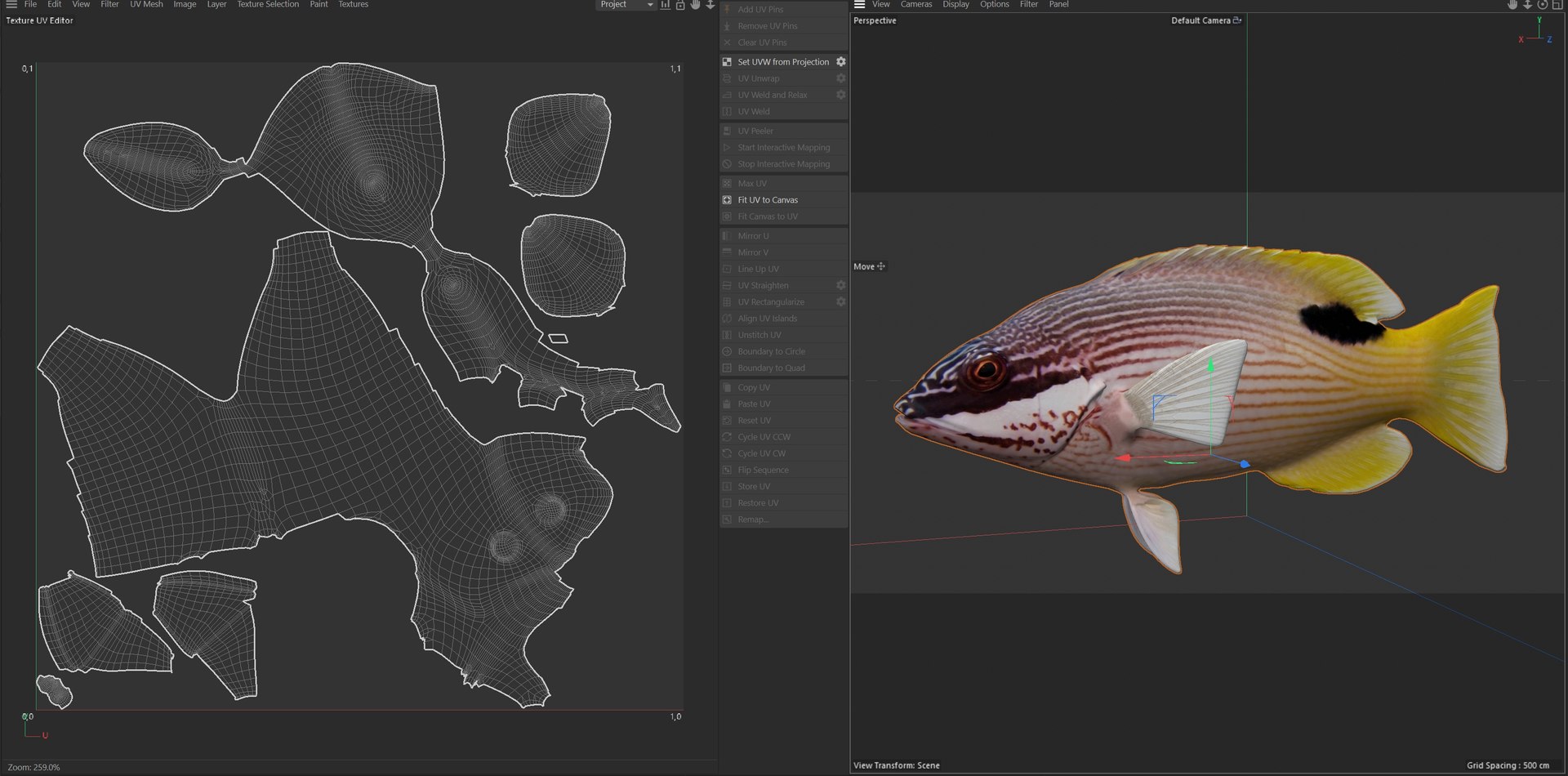 3D Saddleback Hogfish https://p.turbosquid.com/ts-thumb/2n/WR9wjJ/Iy/uv/jpg/1776260998/1920x1080/fit_q87/335439644293ee1b49eb686bb9fefb203eead7d5/uv.jpg