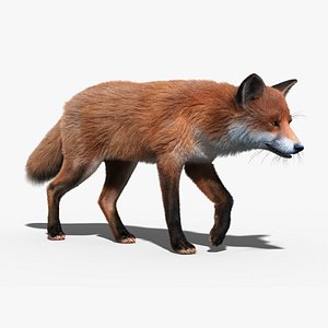 Red Fox(FUR)(RIGGED)
