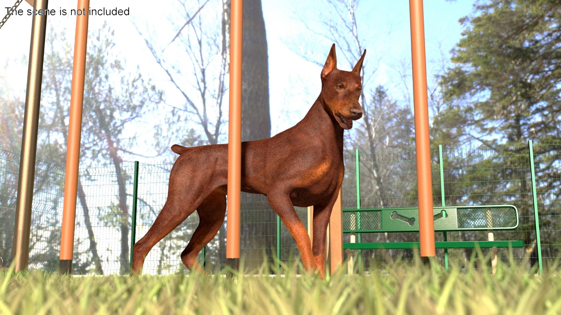 3D Dog Park with People https://p.turbosquid.com/ts-thumb/2n/iZLrAm/SO/dog_park_with_people_004/jpg/1731502975/1920x1080/fit_q87/7c131dd123b5efa91c99548fc2e700d903958026/dog_park_with_people_004.jpg