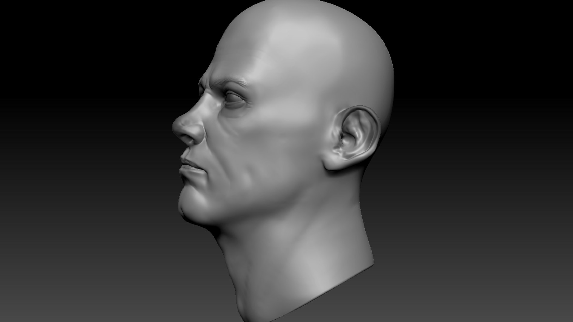 Head Study 3D Model - TurboSquid 1900396