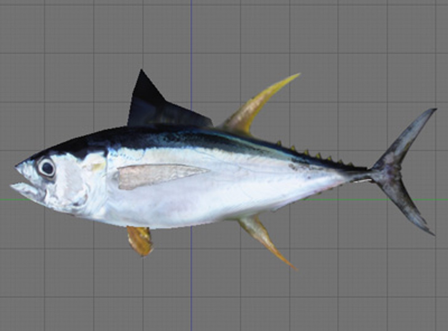 3d model of fish games