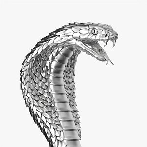 Cobra head 3 handle for walking stick