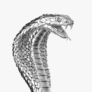 Cobra head 3 handle for walking stick