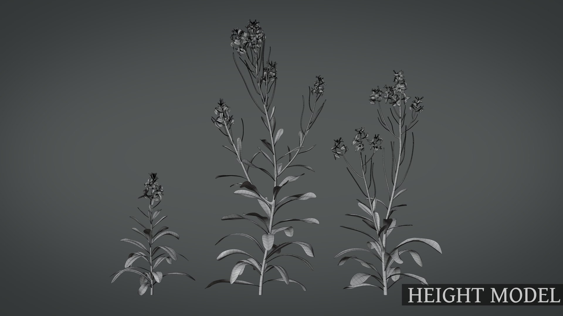 3D Violet Flower Model - TurboSquid 2068023