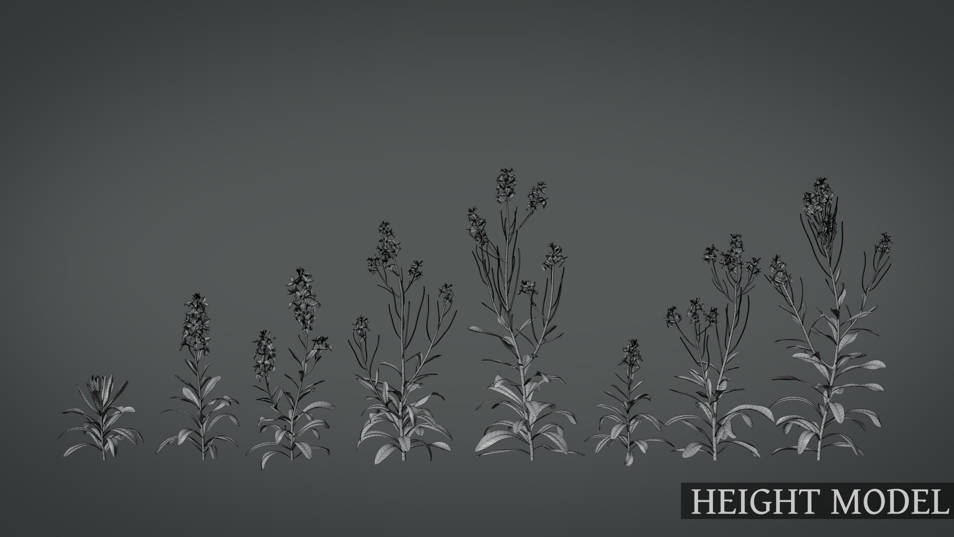 3D Violet Flower Model - TurboSquid 2068023