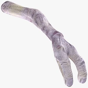 Alien Arm
